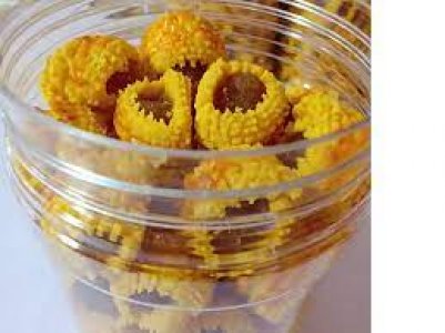 Tart Gulung Kerabat 2022