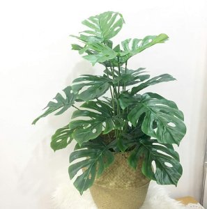 Artificial Premium Plant 2
