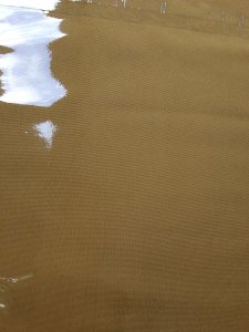 SUPER SINGLE CANARY YELLOW Fitted BedSheet + Pillowcase Set plus Optional Bolster Case Cover