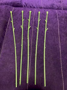 Stem for Putting Flowers Ready Stock